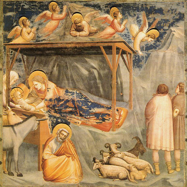 [Natività, affresco di Giotto nella Cappella degli Scrovegni a Padova]