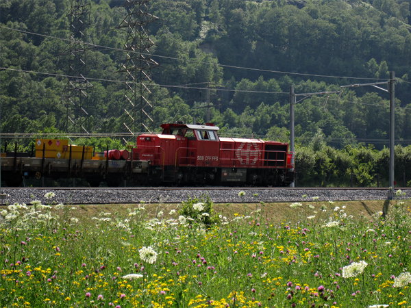 [Locomotiva diesel SBB Am 843.006 con treno cantiere sulla
variante di Pollegio]