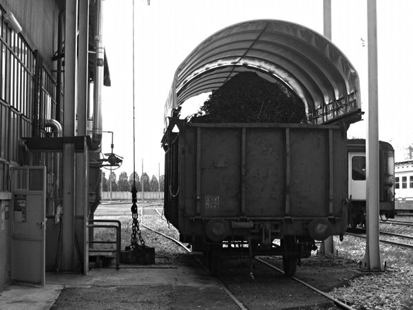 [Carro merci carico di trucioli di tornitura ed elettrocalamita
per il carico.  Impianto di Torino Smistamento]