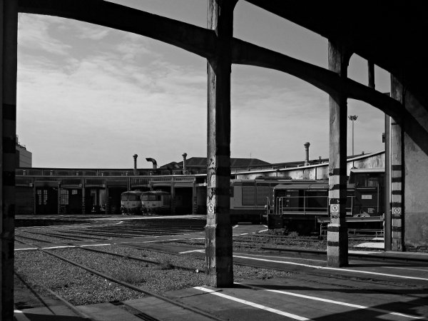 [Rotonda Trazione
Diesel del deposito di Torino Smistamento, con automotori 245 e
locomotive D445]